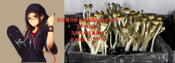 крисы Алексеевка