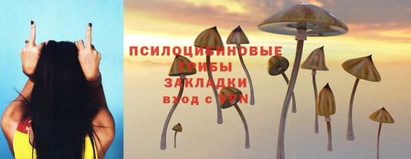бутират Алексин