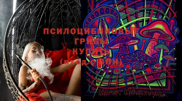 бутират Алзамай